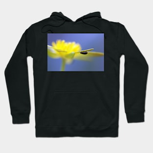 Pollen Hunter Hoodie